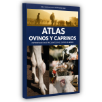 Libro Atlas Ovinos y Caprinos Enfermedades más frecuentes en el centro de México